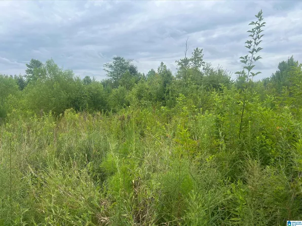 0 Highway 78 Tract #2, Muscadine, AL 36269