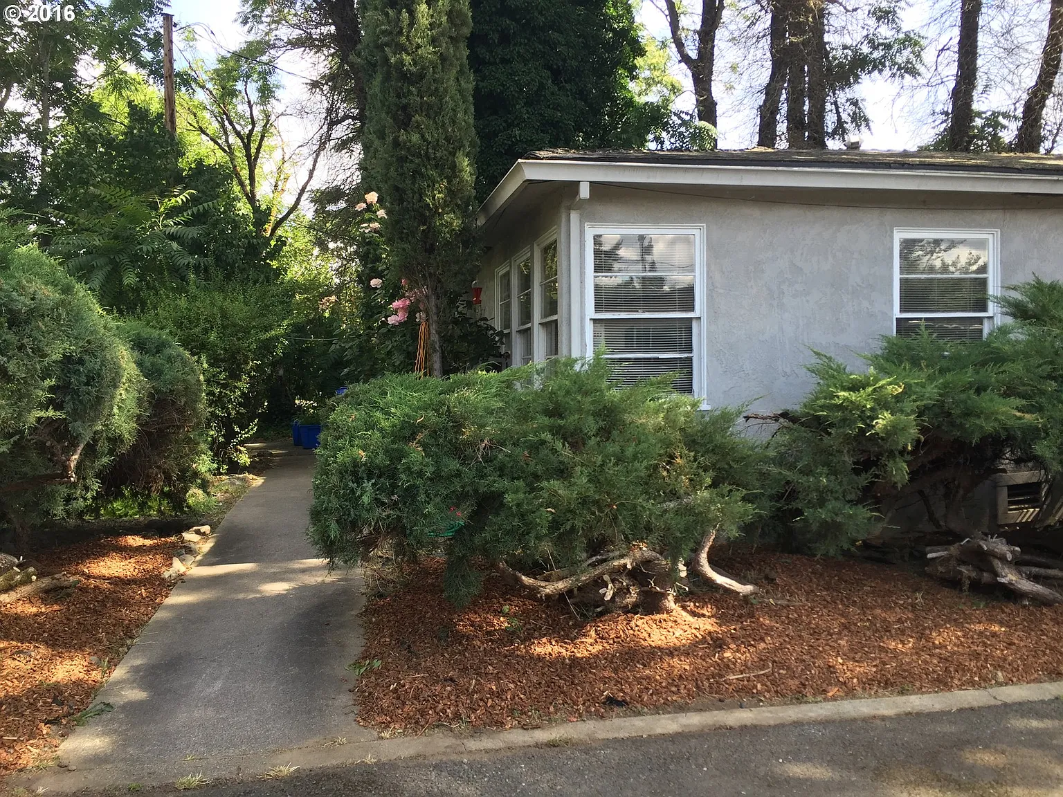 516 Pine St photo 1