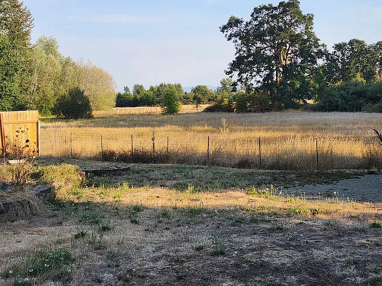 Backyard view - so calming