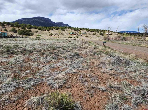 1333 MOHEE ROAD, South Fork, CO 81154