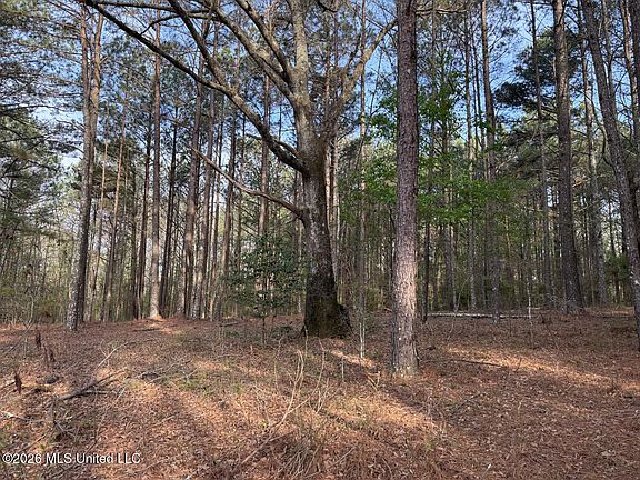 3rd image of 288 Galilee Rd