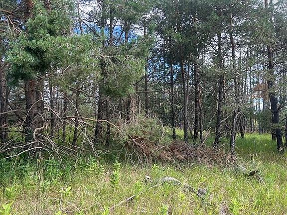 4th image of PARCEL 1 McCoy Rd
