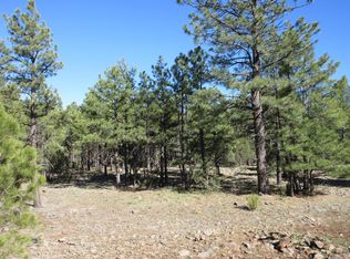 108 Lone Horseman Rd, Lakeside, AZ 85929