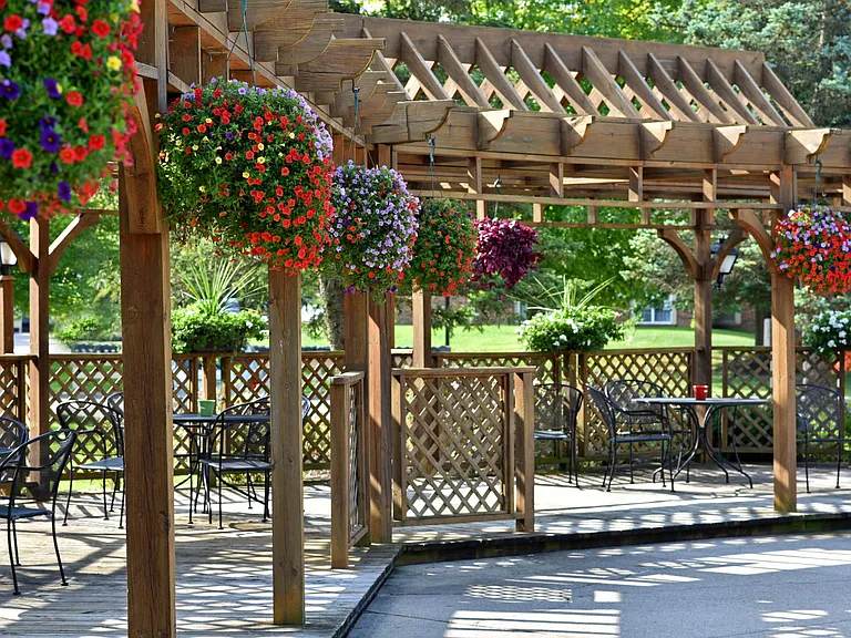 Expansive Sundeck with Pergola