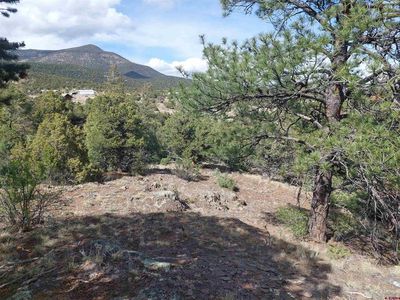 275 Wild Horse Trail, South Fork, CO, 81154