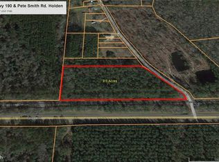 Pete Smith Rd, Holden, LA 70744