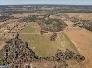 0 Williams Cir, Elko, GA 31025