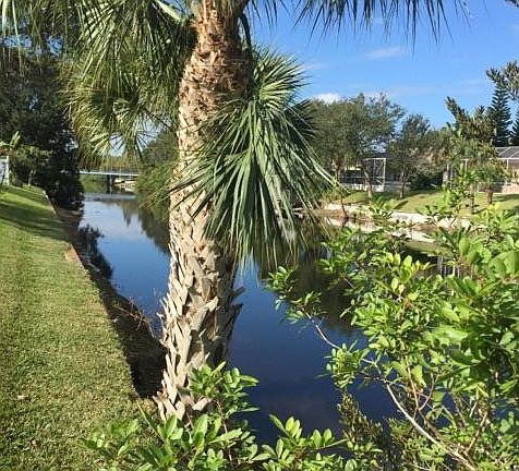 5th image of 169 Joy Haven Dr