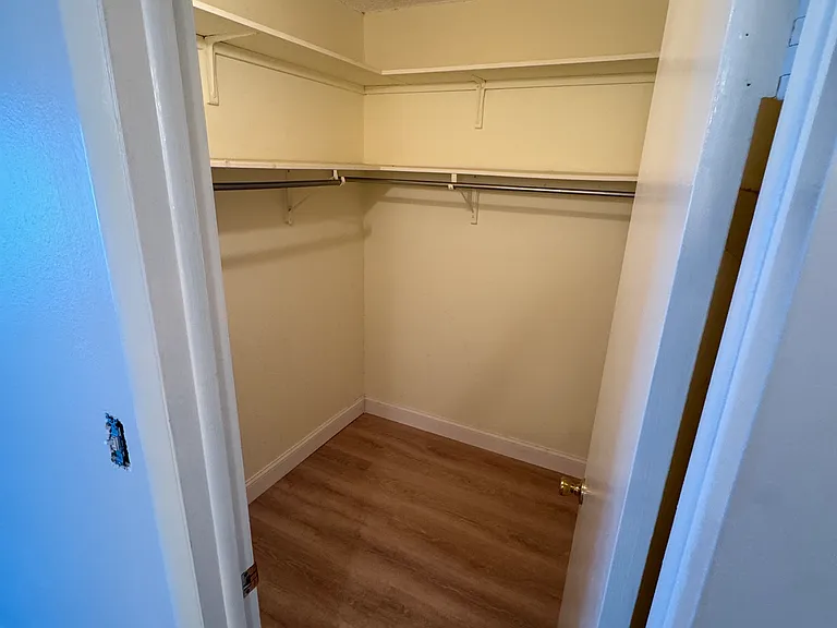 Walk-in Closet, Master Bedroom