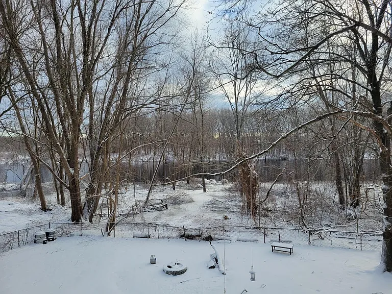 Backyard winter