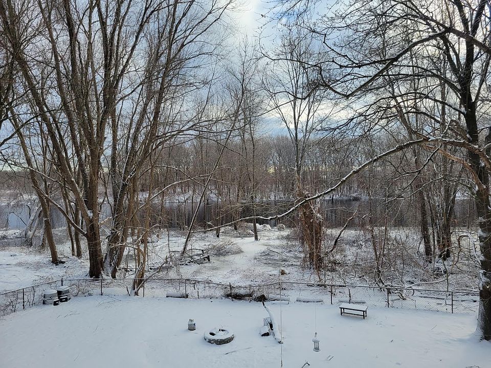 Backyard winter