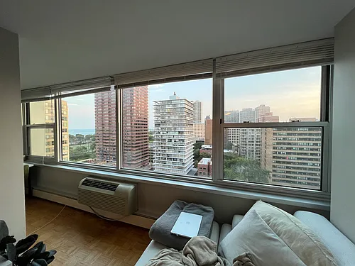 336 W Wellington Ave #1603 Photo 1