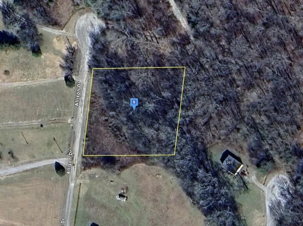 200 Allison Dr, Pulaski, TN 38478
