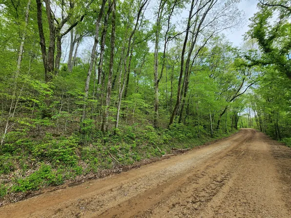 0 Walnut Grove Rd Lot 4, Waynesboro, TN 38485