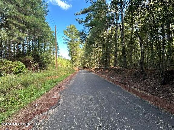 3rd image of Irene Rd