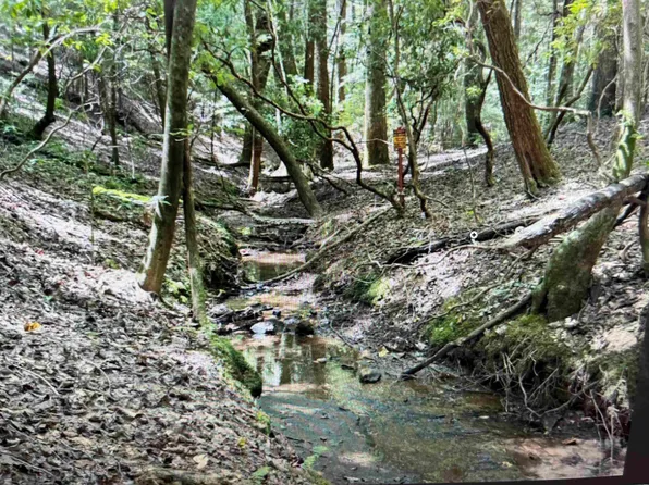 0 Crockett Rd, Haleyville, AL 35565