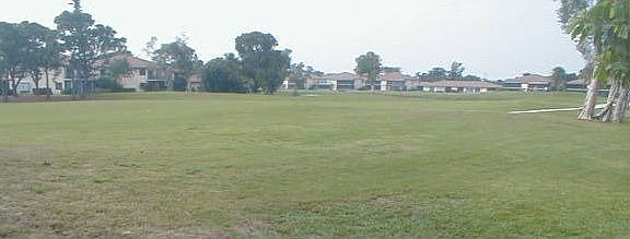 Rear vista