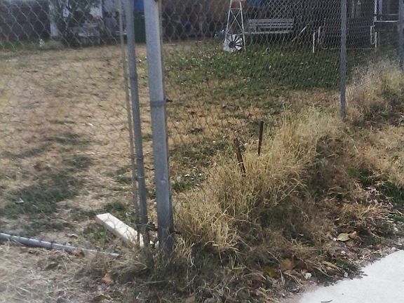 4th image of 411 W Rainbow Dr