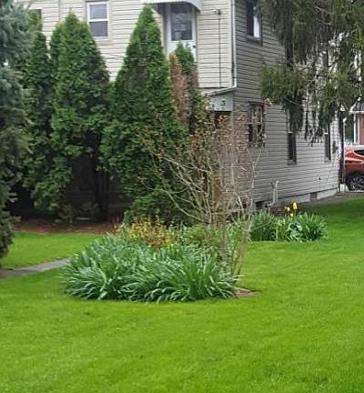 2nd image of 347 E Guilford St