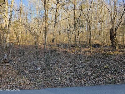 Blue Springs Rd, Speedwell, TN, 37870