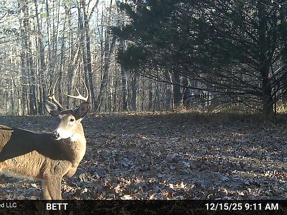 2nd image of 3579 Bett Rd