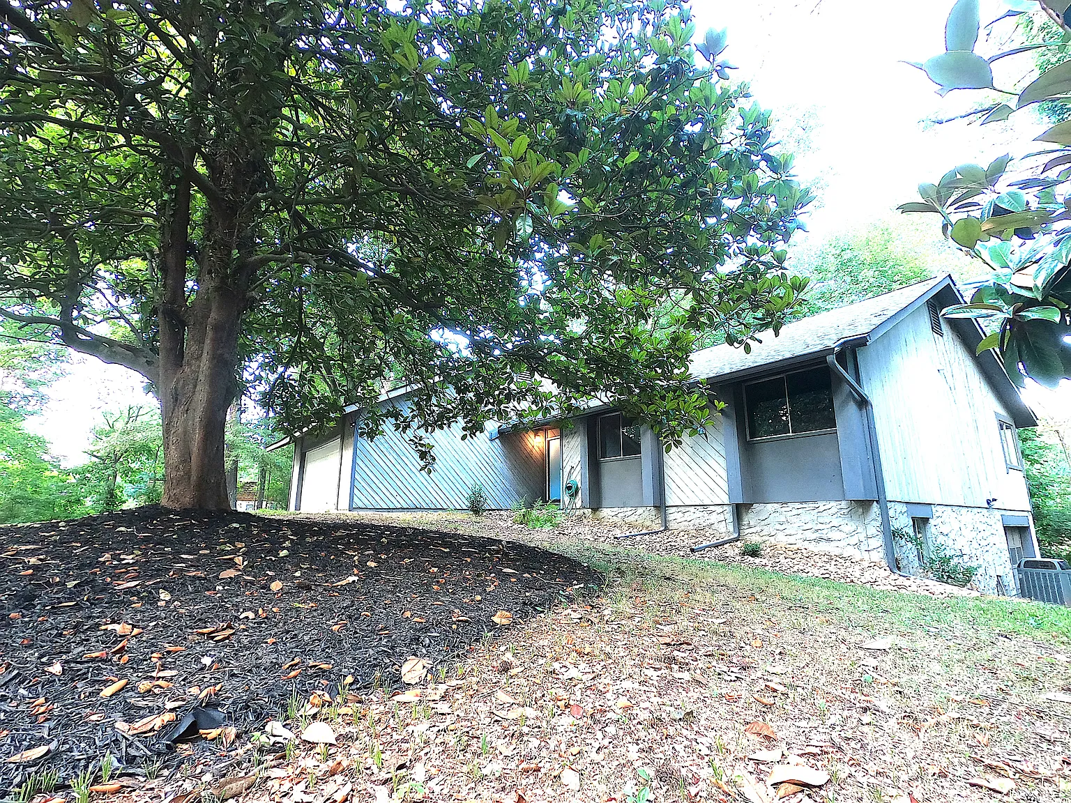 3 bed, 1681 sqft, $2,300 — Photo 4