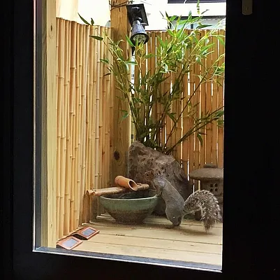 Rented by Citi Habitats | media 12