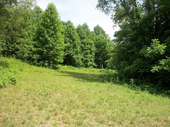 5th image of 778 Jones Hollow Rd