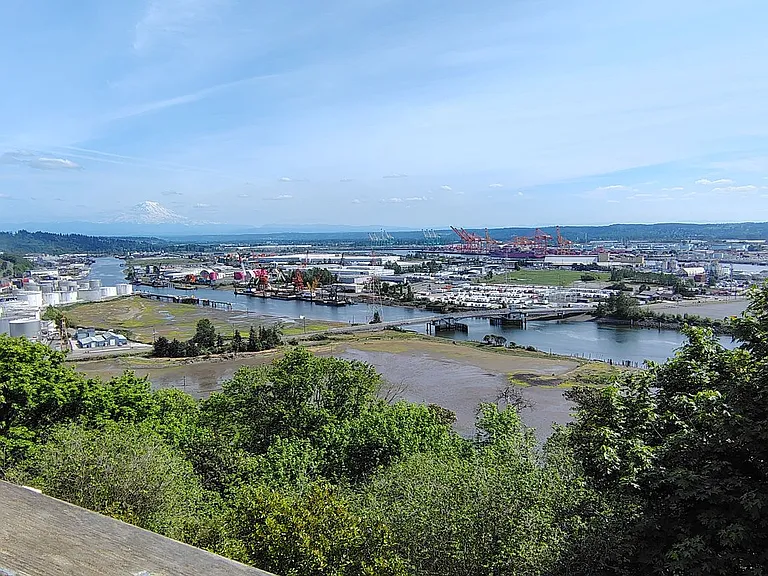 Rainier Sound View — Photo 15