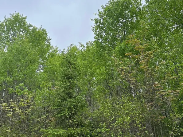 Burrows Lake Rd Lot 9, Tomahawk, WI 54487