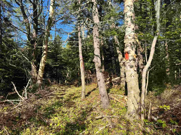 Forest Dr #24, Extension Pictou, NS B0K 1H0