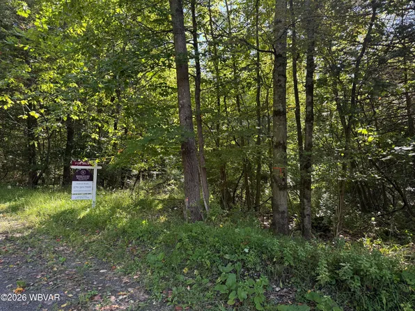 PARCEL 146 Smith Rd, Muncy, PA 17756