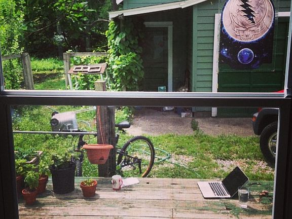 View from back door
