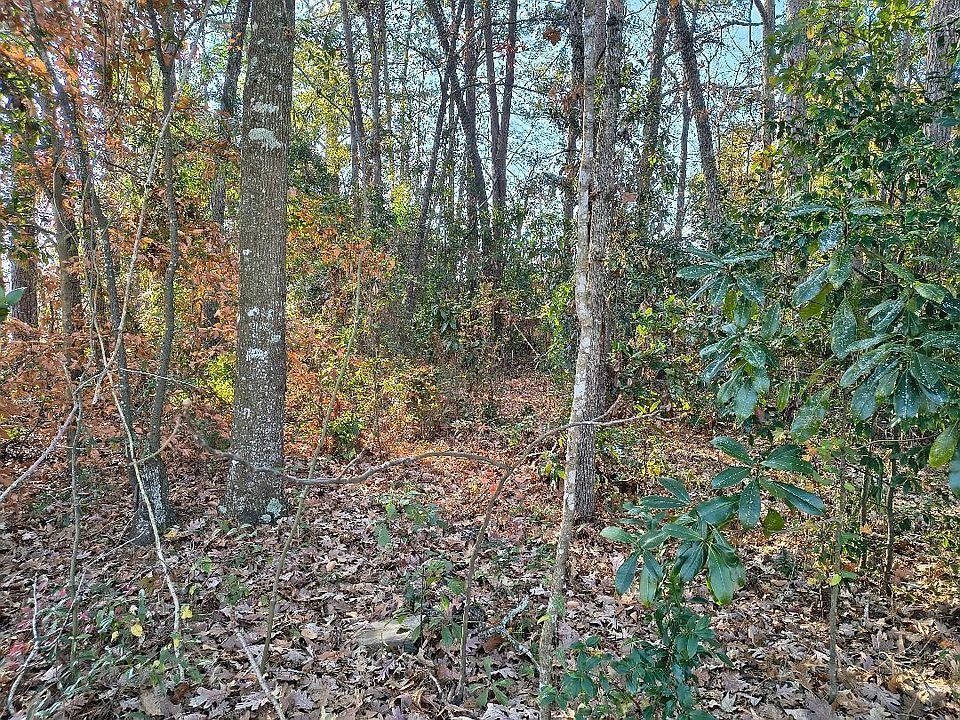 2nd image of 0 Pointer Ln