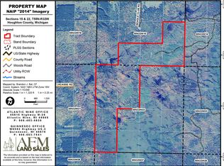 Tbd Off Rice Lake Road, Lake Linden, MI 49945