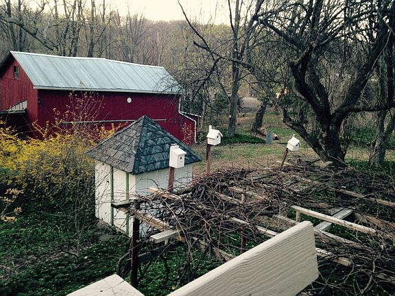 Barn & yard--grapevine cover