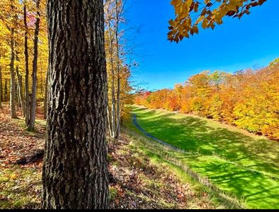 Porcupine Path LOT 842, Gaylord, MI, 49735