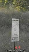 1st image of 27645 Silverton Ct