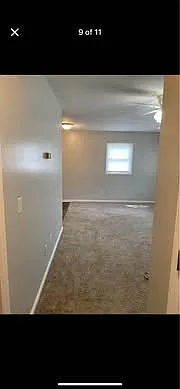 Dan St — Photo 8