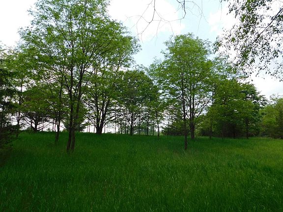 5th image of LOT 57 Eagle Cir