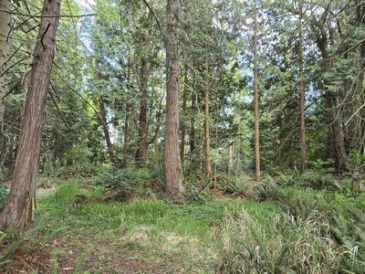 999 Highway 101 #B, Sequim, WA, 98382