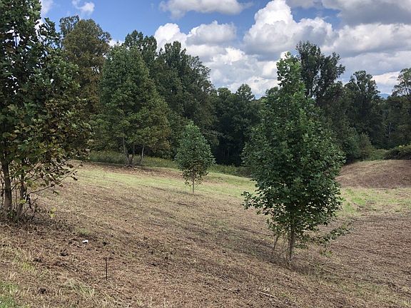 2nd image of 15 Arden Trl