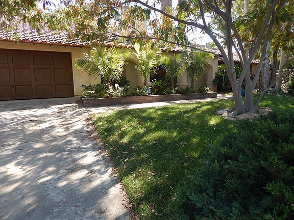 Shady, park like front yard