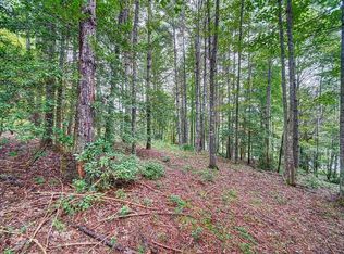 19 Nottely Falls Rd, Blairsville, GA 30512