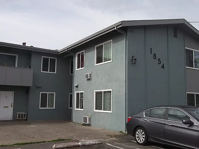 Robin Lane — Photo 3