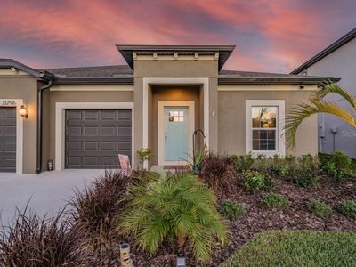 31296 Palm Song Pl, Wesley Chapel, FL, 33545