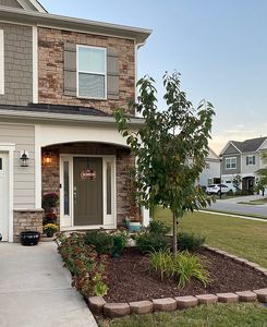 201 Castien Cove Pl, Apex, NC, 27539