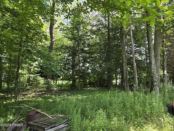 3rd image of Woodlyn Ln N