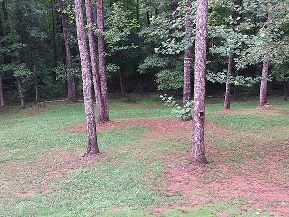 4th image of 352 Fairfax Ct