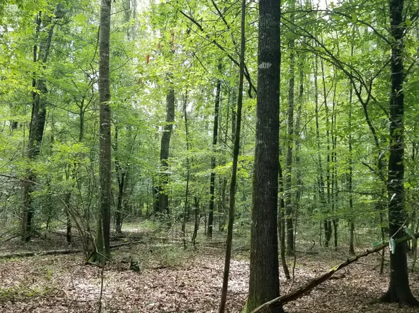 974 Merrifield Dr, Selma, AL 36703